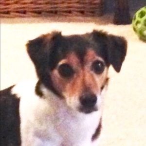 Meet your Posher, Wendy